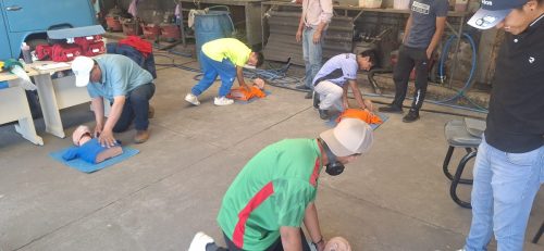 Capacitación en Autolavado Tlalpan 07- Abril- 2025